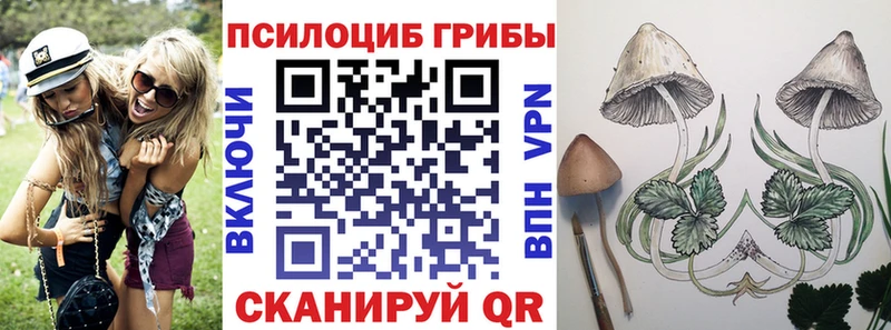 mega ONION  Обнинск  Галлюциногенные грибы Psilocybine cubensis 