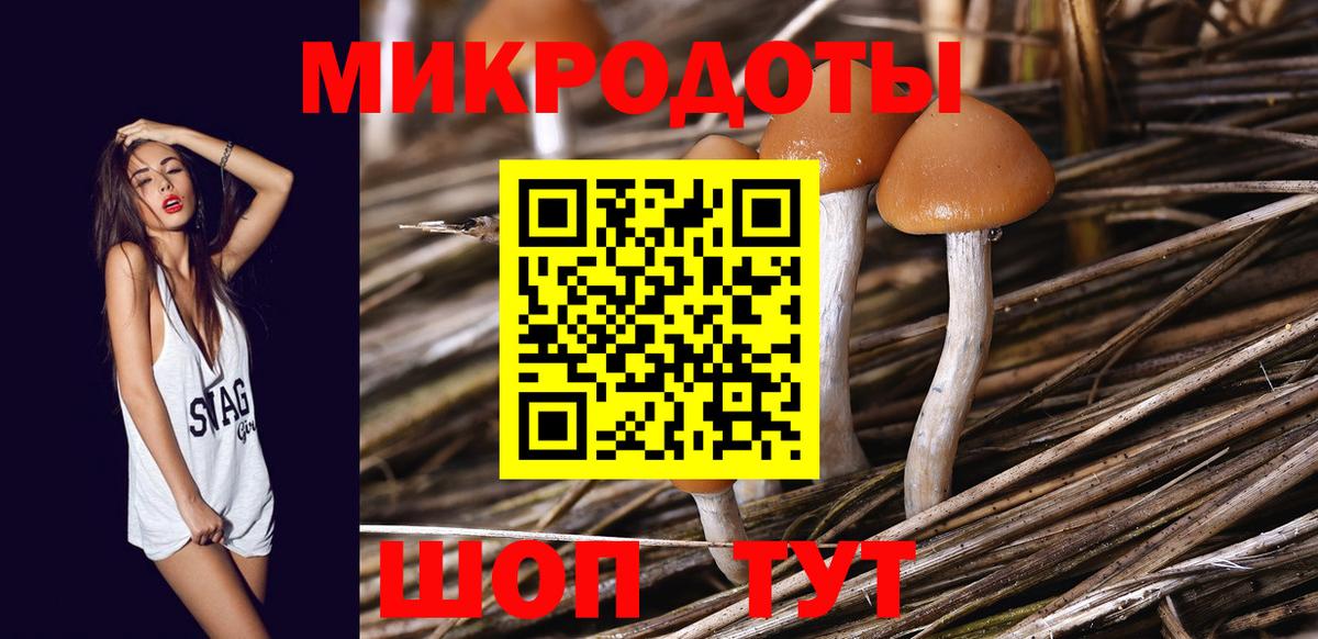 Галлюциногенные грибы мицелий Обнинск